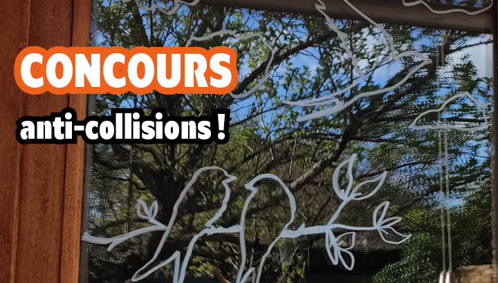 Concours anti-collisions sur Instagram